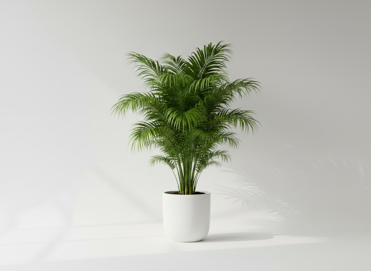 Sample Plant